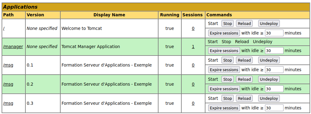 Liste des applications avec la version